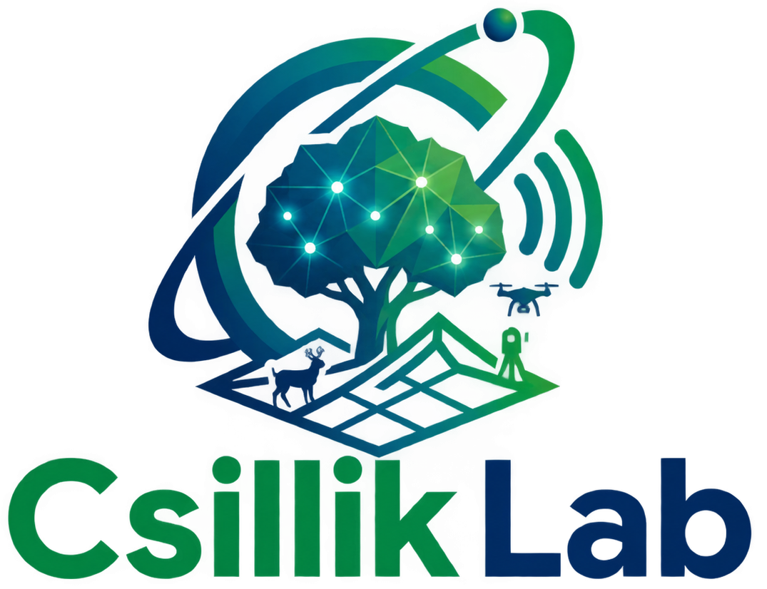 Csillik Lab